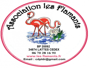 Logo f3